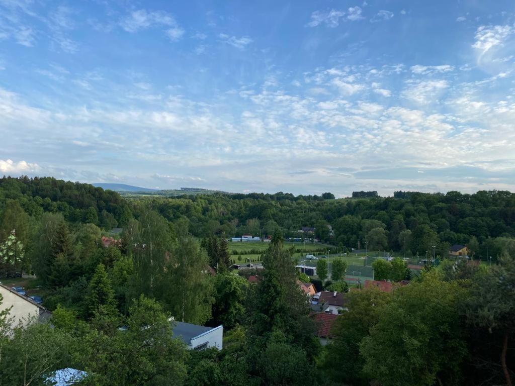 Okno Na Izery Apartment Lesna Bagian luar foto
